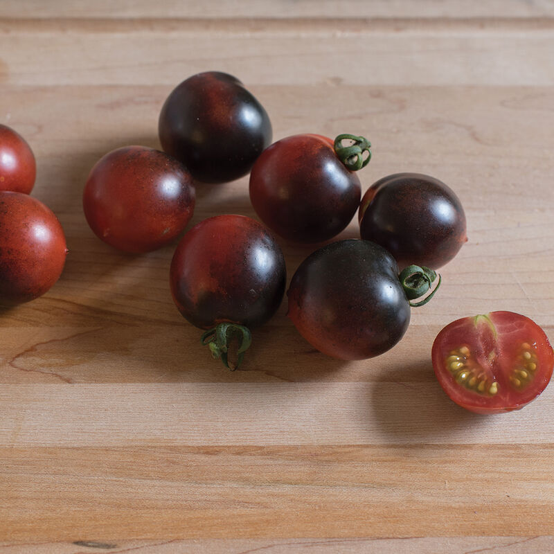 Cherry Tomato - Indigo Cherry Drops
