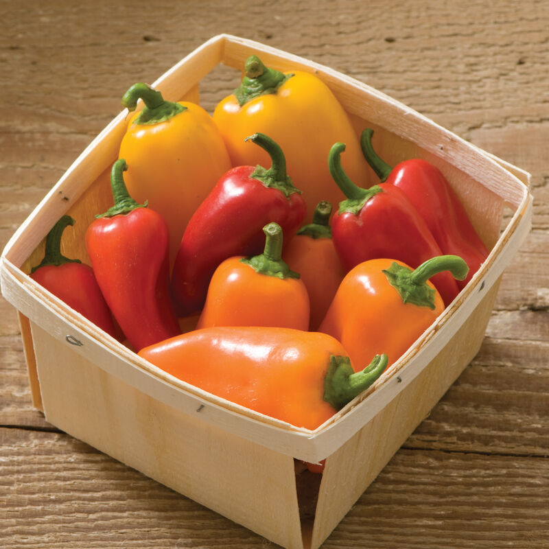 Pepper Sweet - Lunchbox Pepper Mix
