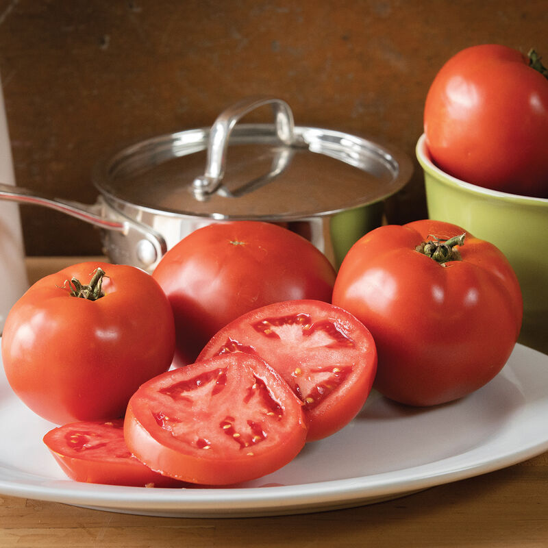 Beefsteak Tomato - Big Beef Plus