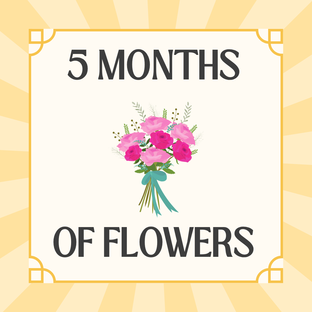 5 Month Flower Bouquet Subscription