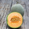Melon - Cantelope Edisto 47  FS