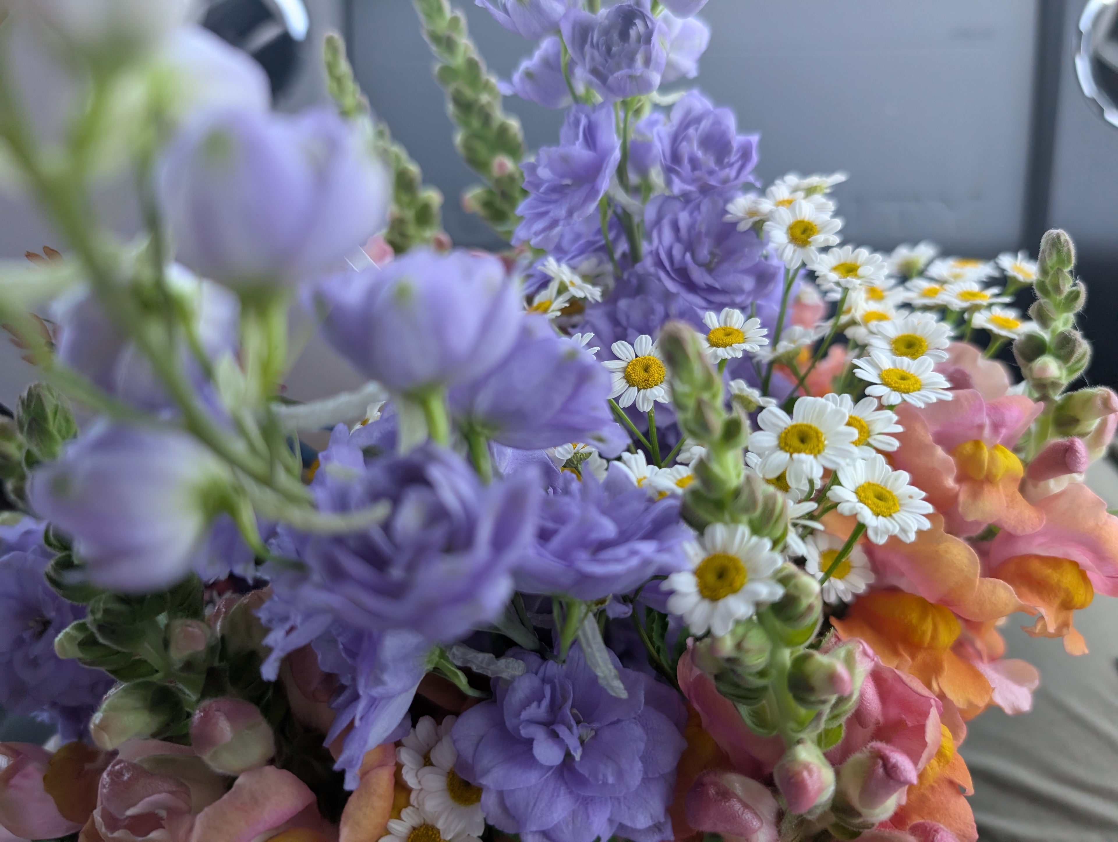 Spring Flower Subscription