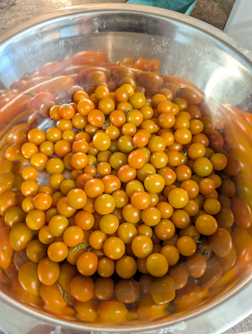 Cherry Tomato - Sungold F1 FS