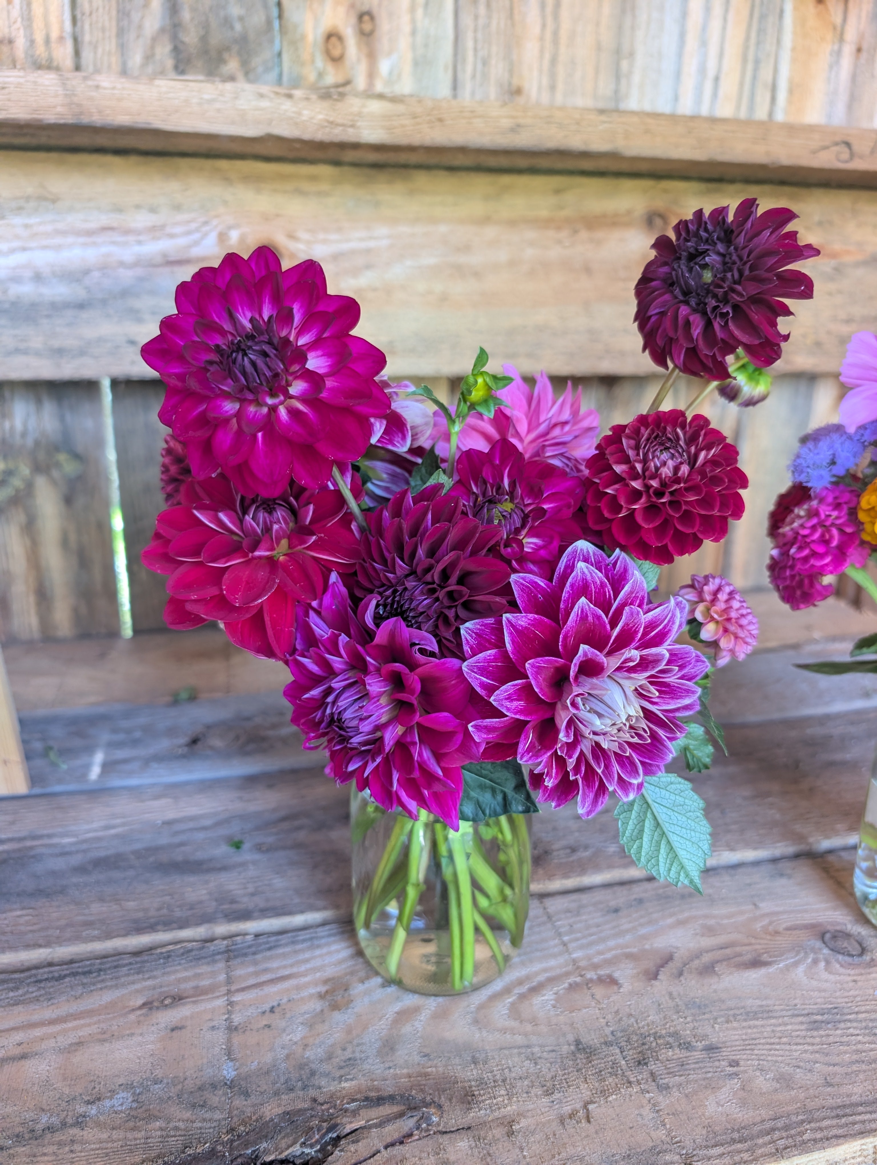 Summer/Fall Subscription