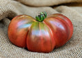 Beefsteak Tomato - Cherokee Purple FS