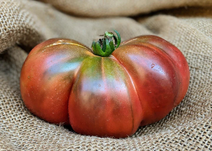 Beefsteak Tomato - Cherokee Purple