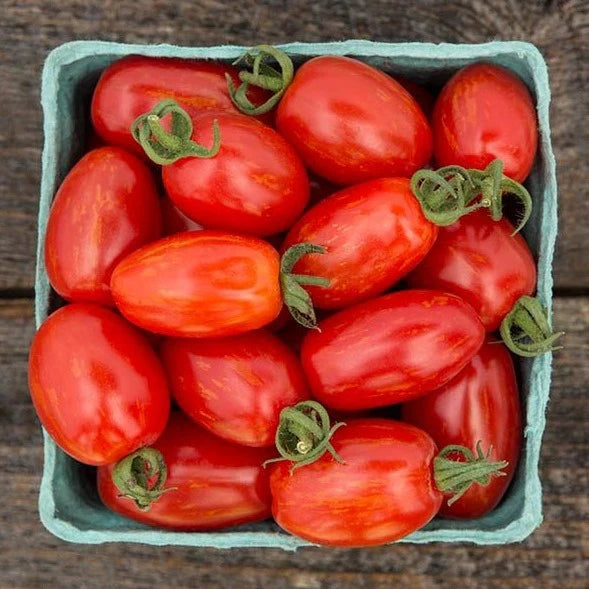 Grape Tomato - Supernova