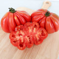 Paste Tomato - Royale Paste FS
