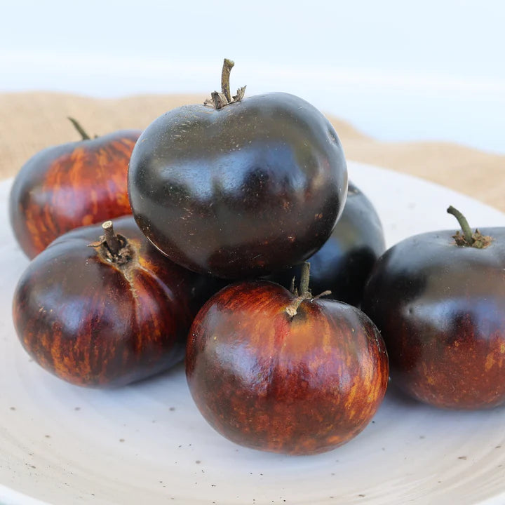 Semi-Dwarf Tomato - Madhatter