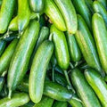 Cucumber - Marketer