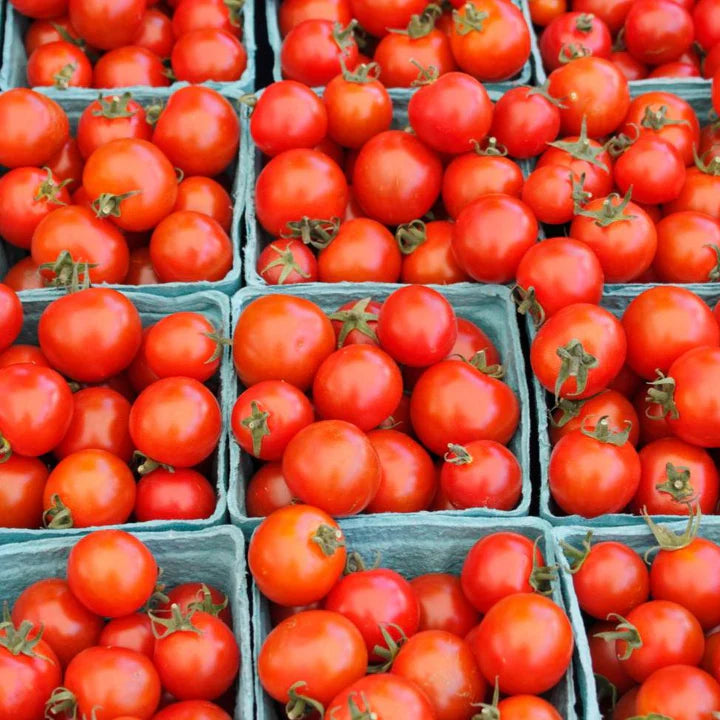 Cherry Tomato - Bing Cherry